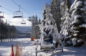 U Macháčků - Lipno